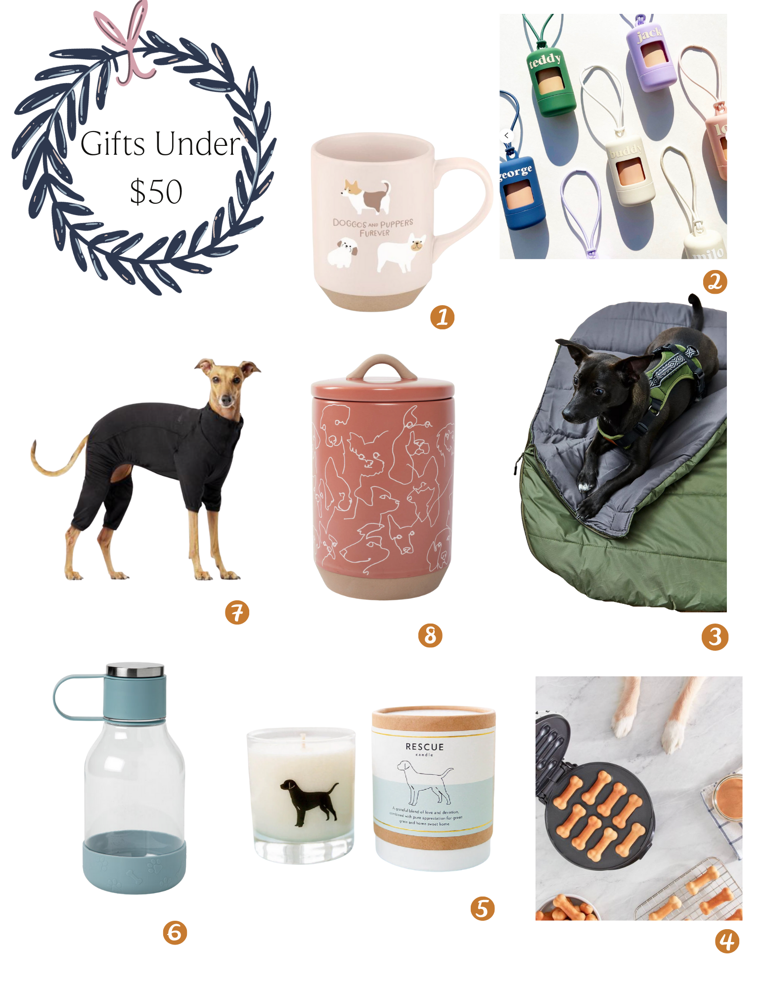 pet gift guide under $50