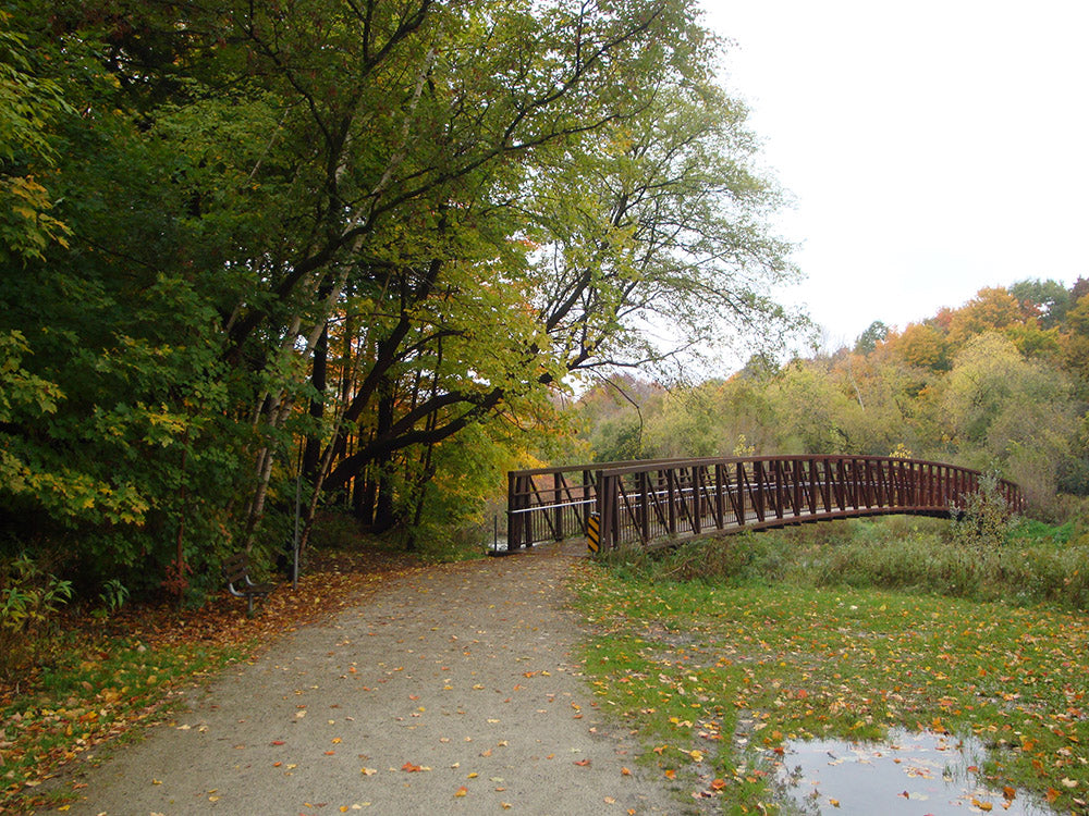 garnet wood park off leash dog park