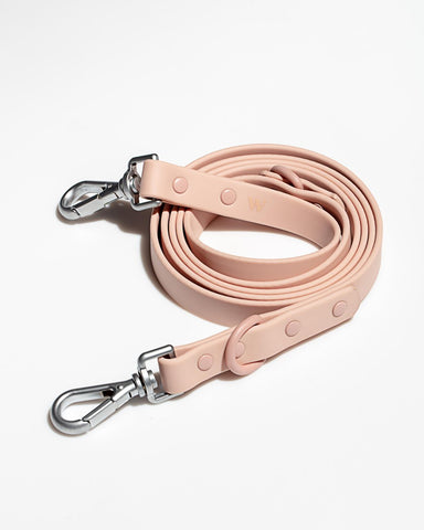 dog leash