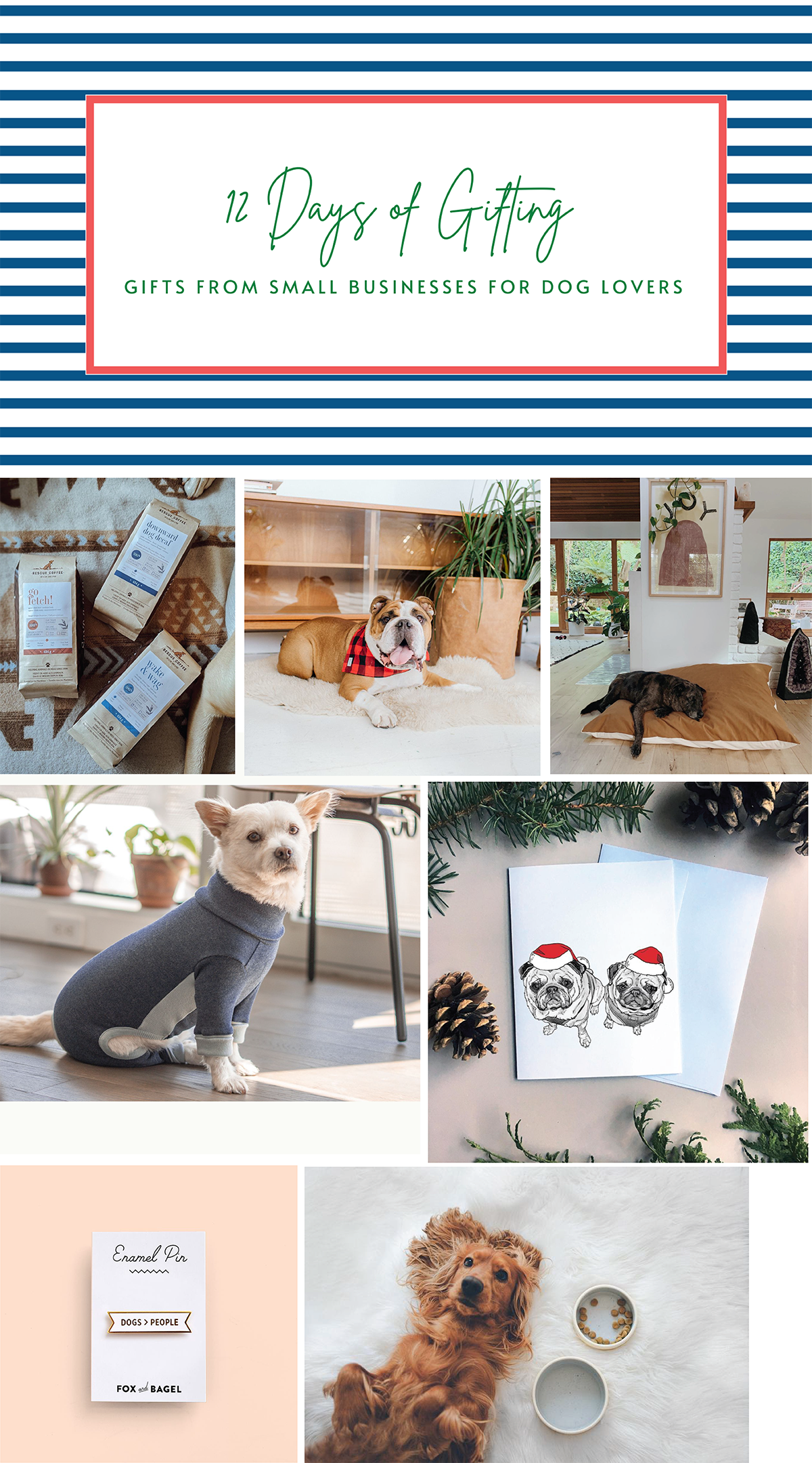 holiday pet gift guide