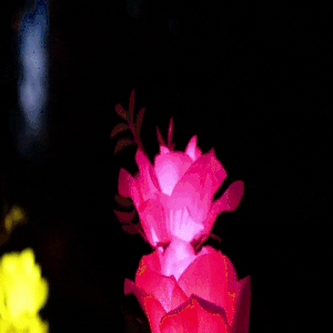 מנורת גן סולארית בעיצוב ורדים