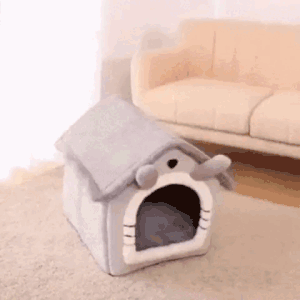 מיטה פרוותית לכלבים וחתולים בעיצוב בית