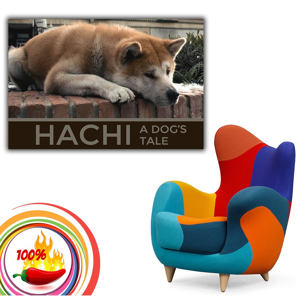 hachi a dogs tale movie online free