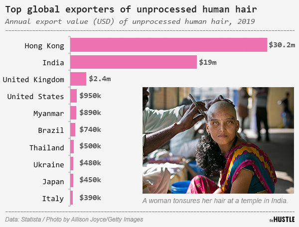 Chart about human hair and where it comes from