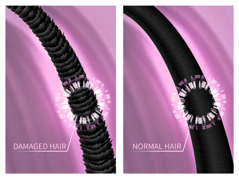 damaged hair vs normal hair