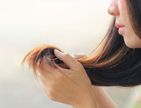 woman holding damaged hair