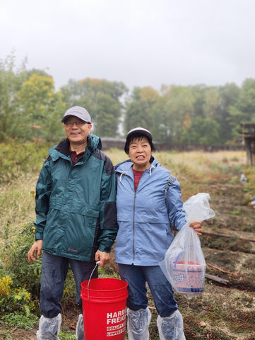 Elderly Couple holding bags of American ginseng berries