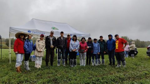 2023 American ginseng harvest: Mengke Camp