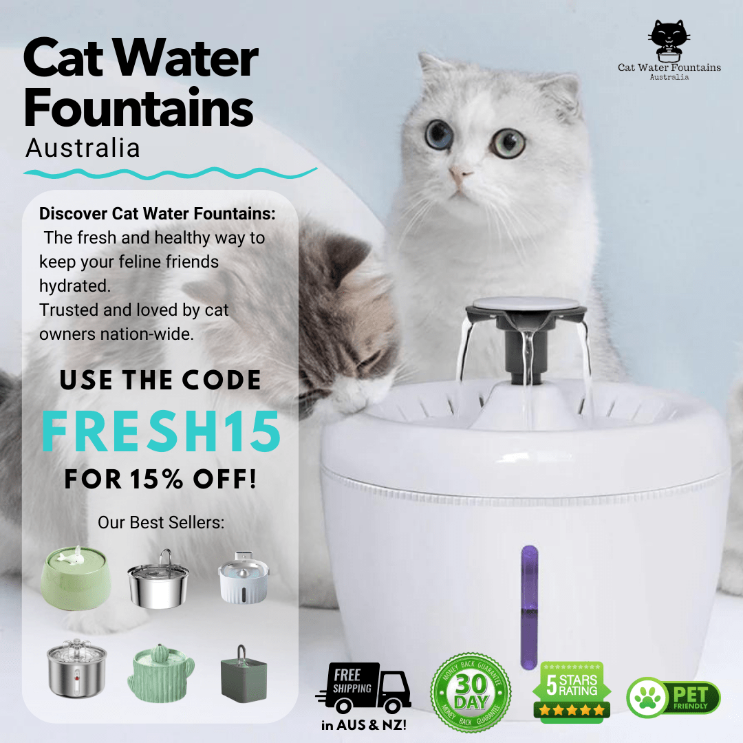 Cat Water Fountains Advertisement