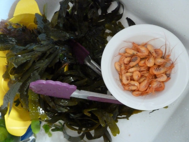 End Result...Sweet and Pink, cooked Prawns