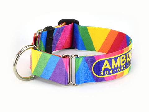 Bright rainbow colors on a 2" wide martingale dog collar.