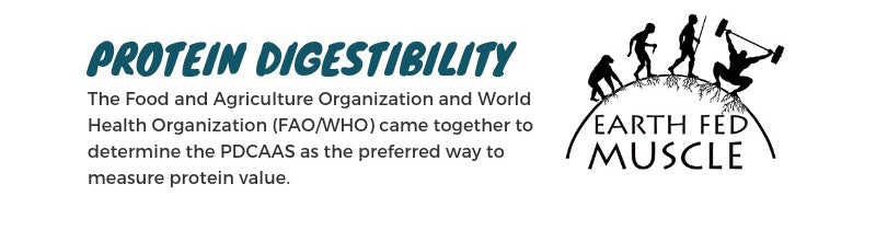Protein digestibility