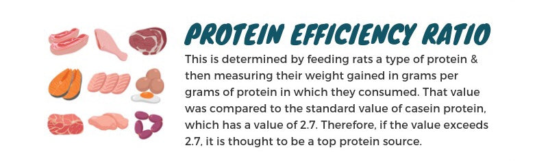Protein Efficiency graphic