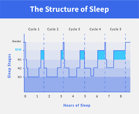 Tight Sleep - A Primer on Slumber – Earth Fed Muscle
