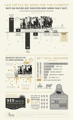 grass fed cattle and carbon sequestration