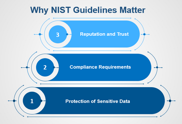 Why NIST Guidelines Matter