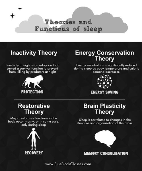 function of sleep infographic