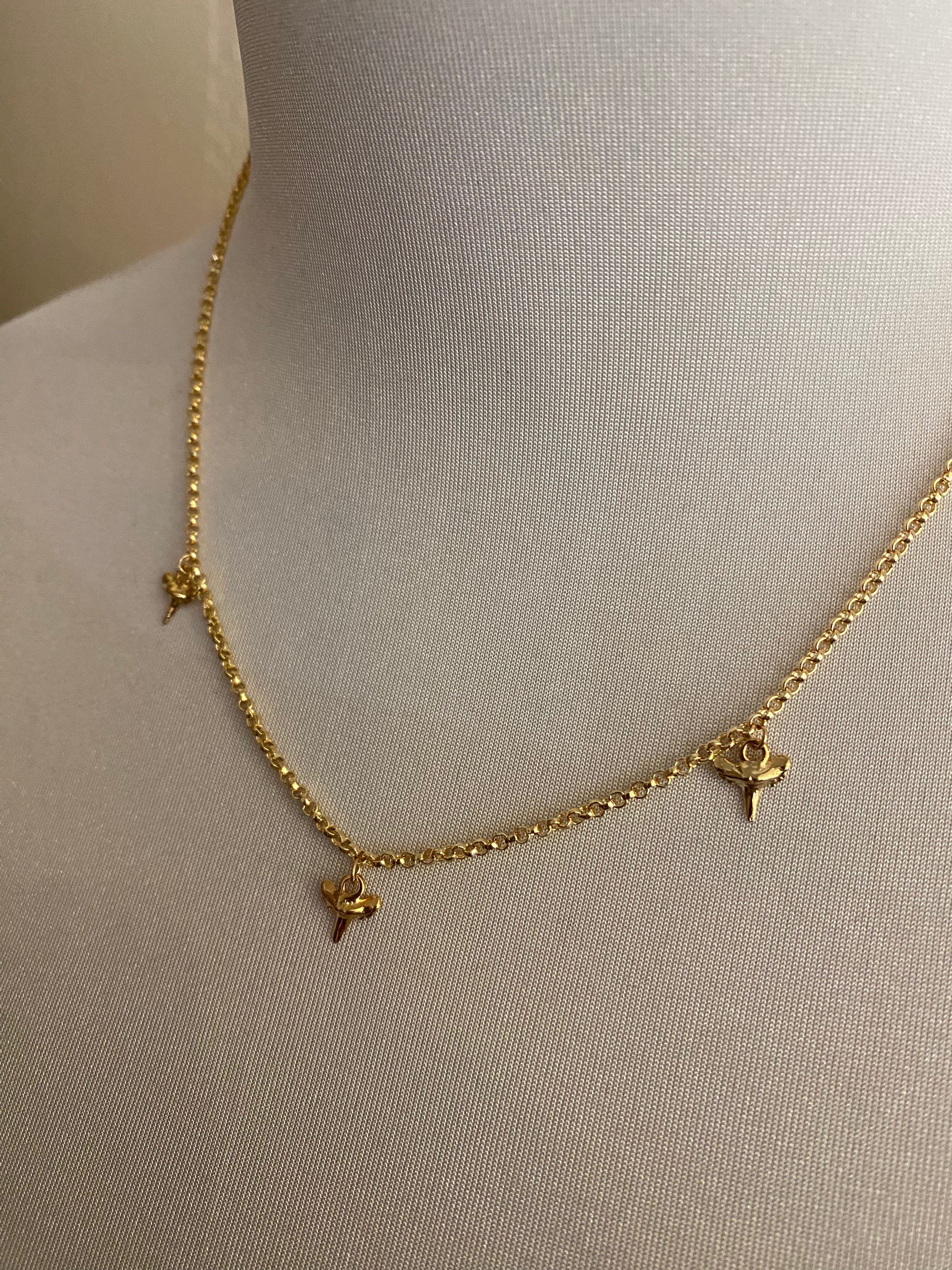 3 Shark Tooth Necklace