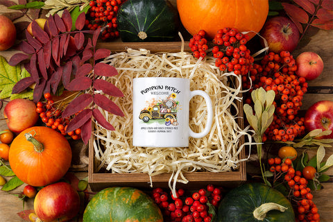 Pumpkin patch Welcome apple cider hay rides gourds pumpkin spice s'mores pies sublimation