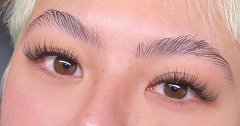 hybrid lash set