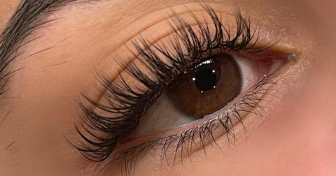 wispy lashes