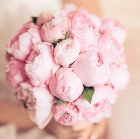 Blush Peonies Bouquet 