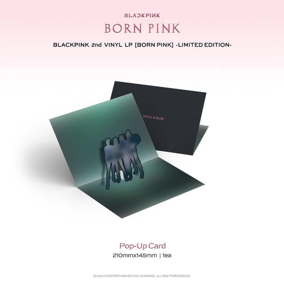 jstore_online_black_pink_vinyl_limited_edition