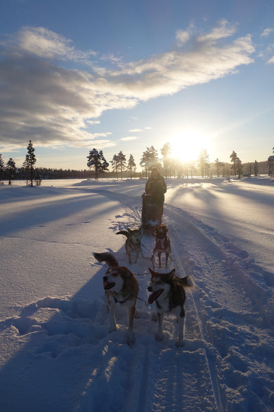 Twins That Travel at Supernomad - Dog Sledding in Arctic Sweden