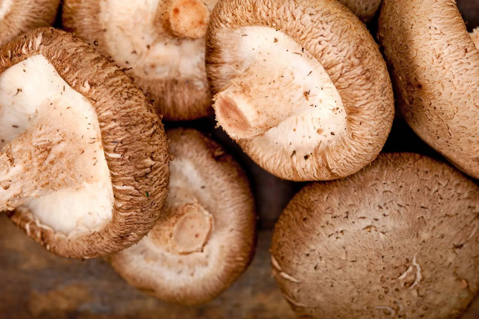shiitake-mushrooms.webp__PID:351d6e5c-cfbf-4fc0-85b1-225806210053