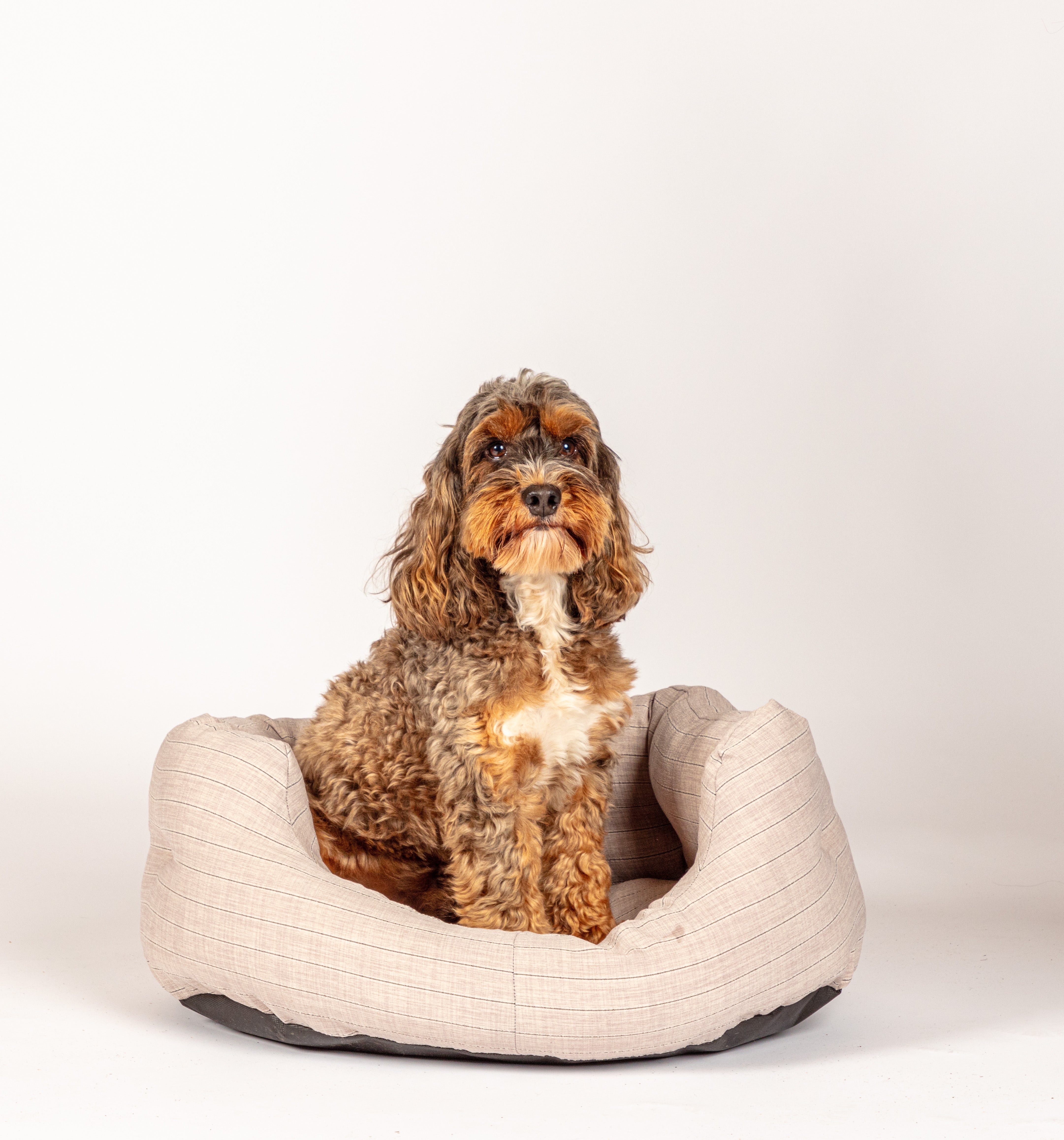 Se Deluxe Slumber Bed 35" hos Petpower.dk