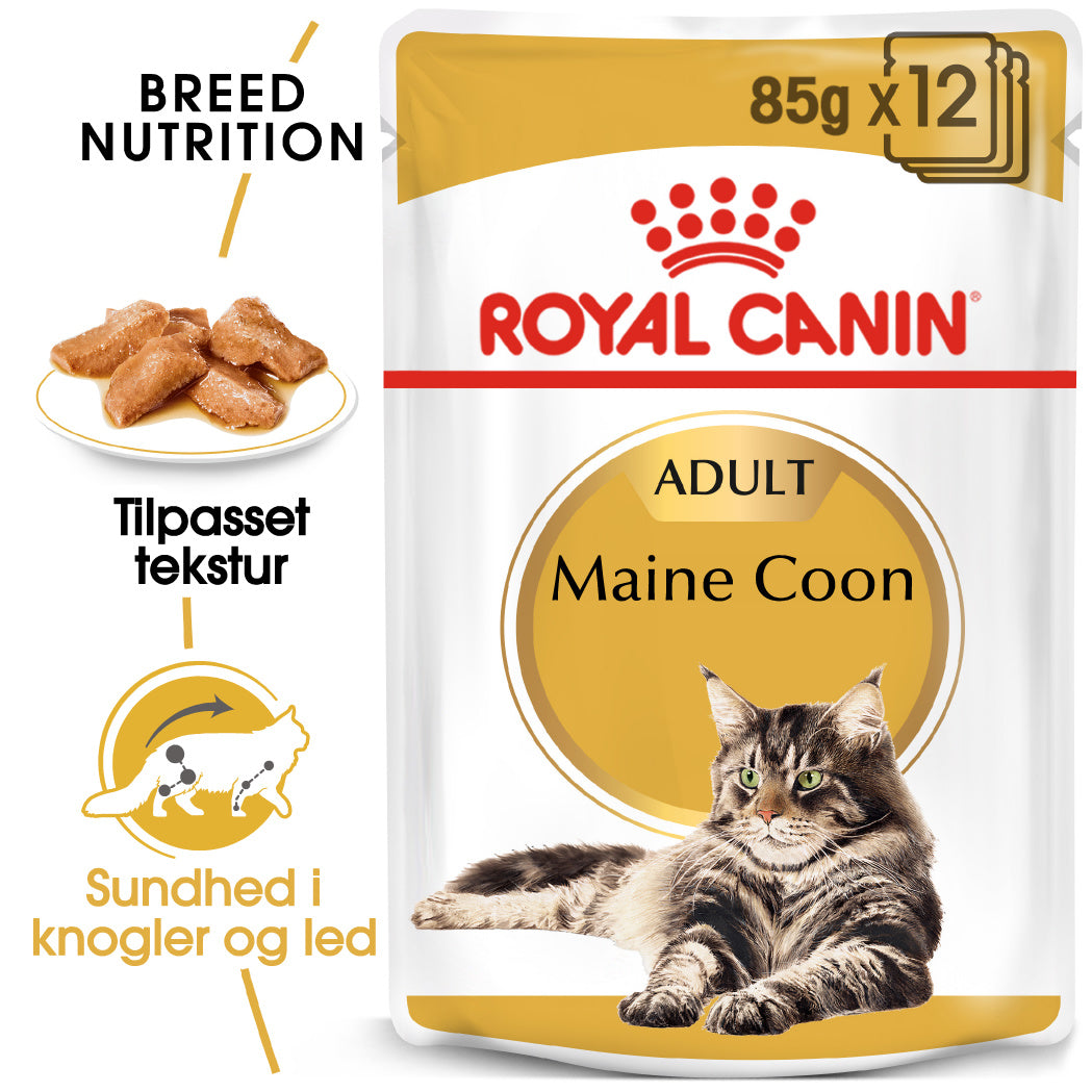 Se Royal Canin Maine Coon Adult Vådfoder til kat Vådfoder til kat 12x85g hos Petpower.dk