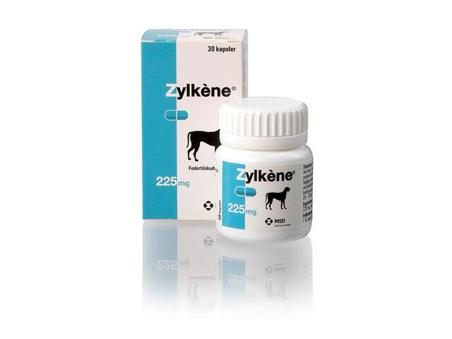 Billede af Zylkéne 225mg. TIL HUND 10-30 KG 30 stk.