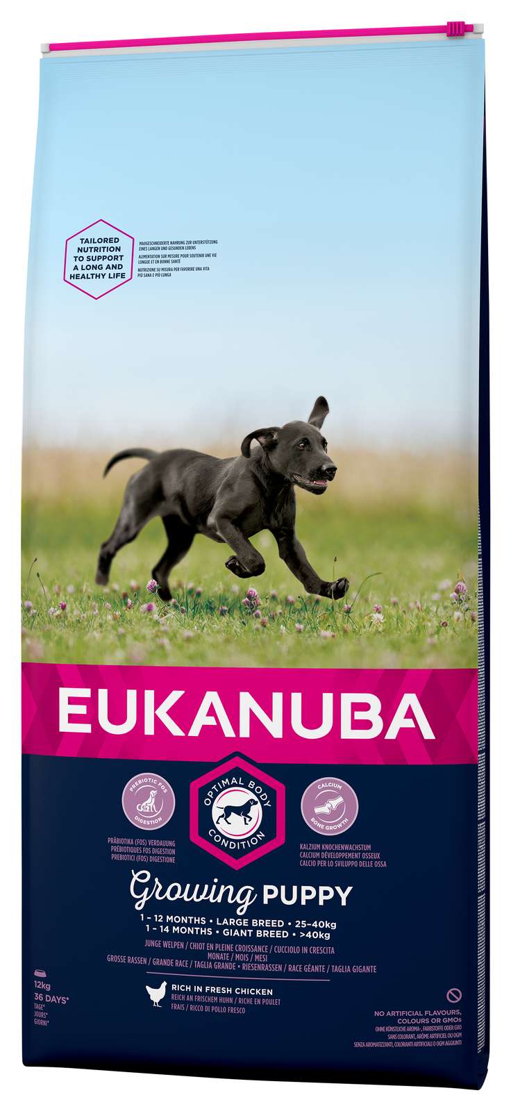 Billede af Eukanuba puppy L/XL kylling & ris 12kg, til voksenvægt 25-40+kg