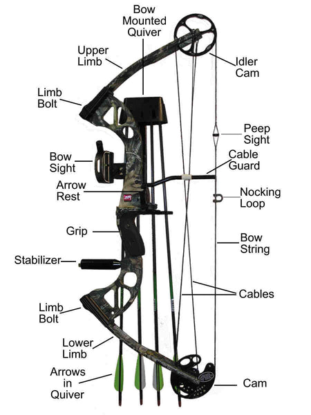 how does a compound bow work