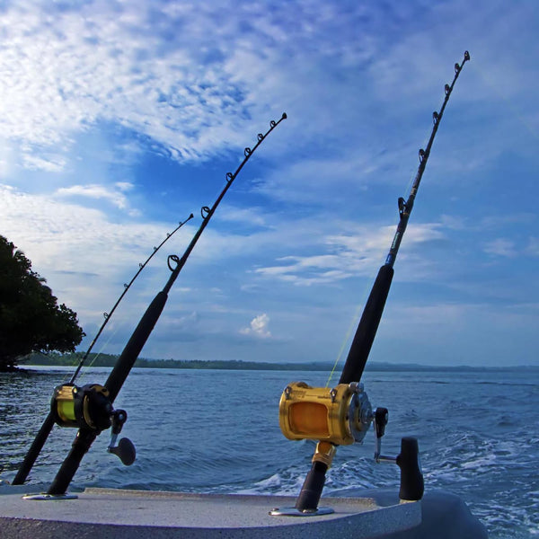 Beginner's Guide to Choosing a Fishing Rod: 4 Things to Consider – Foundry  Outdoors