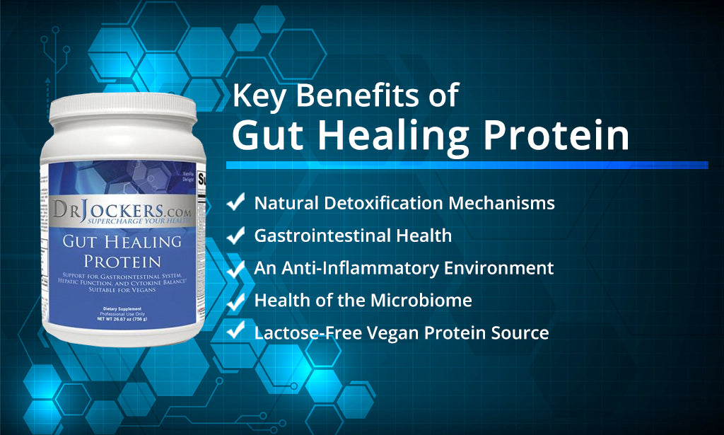 gut healing protein shake