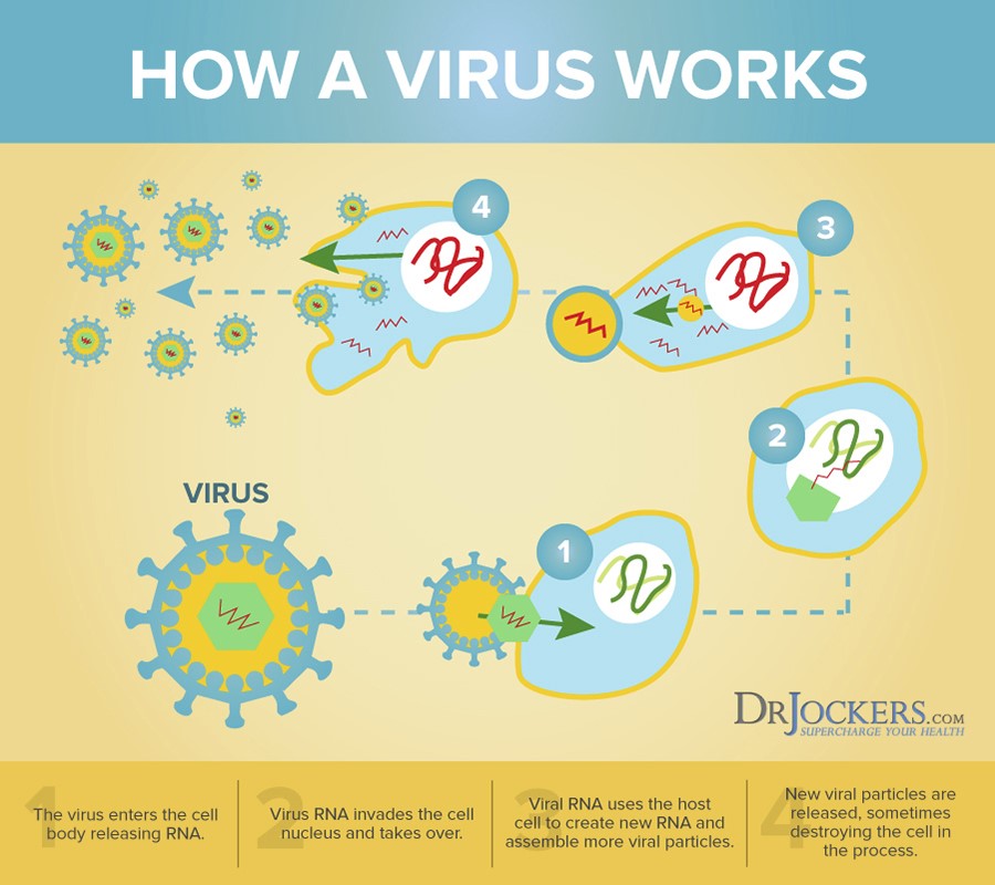 virradbinder virus graphic