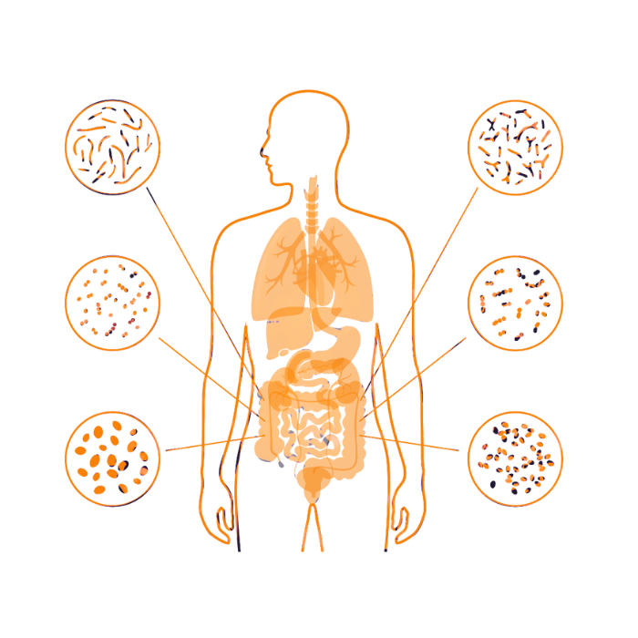 Silhouette of a human body with connected circular nodes representing a conceptual network or system.