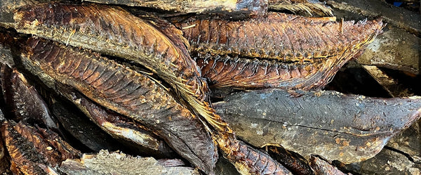 dried whole katsuobushi bonito