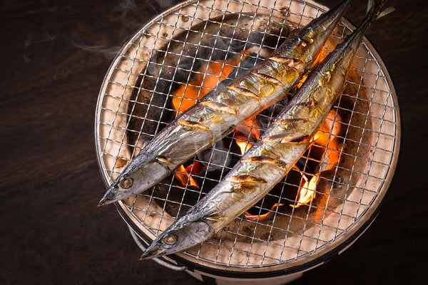 What to cook on your konro japanese bbq grill