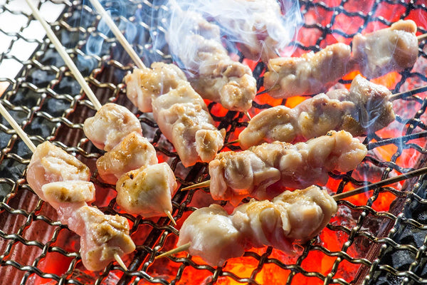 how to cook on a konro grill japanese bbq
