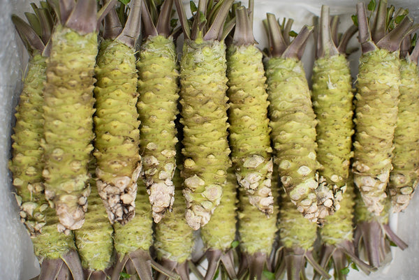 This is real wasabi stem compared to fake wasabi