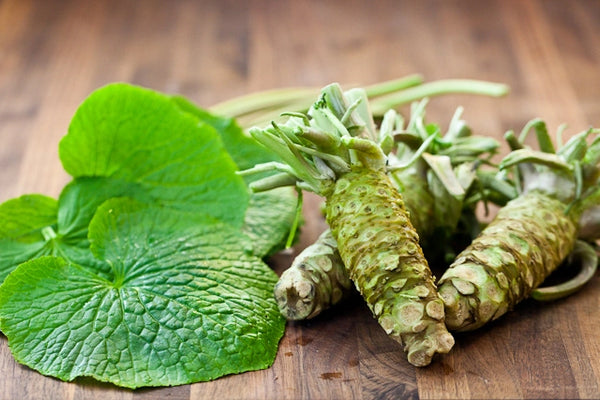 How to grow your own fresh wasabi at home