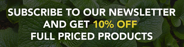 Subscribe to our newsletter and get 10% off full priced products online