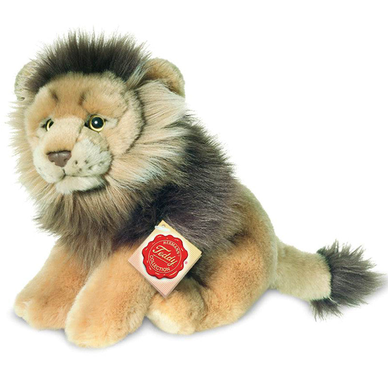 teddy lion