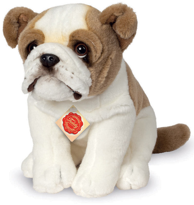 english bulldog teddy bear