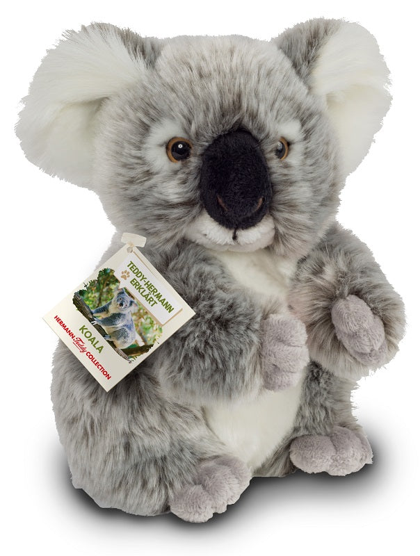 koala bear teddy bear