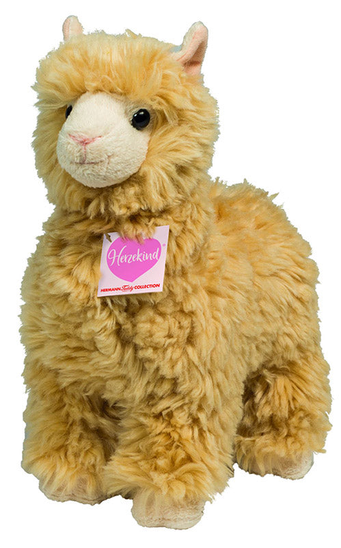 llama teddy