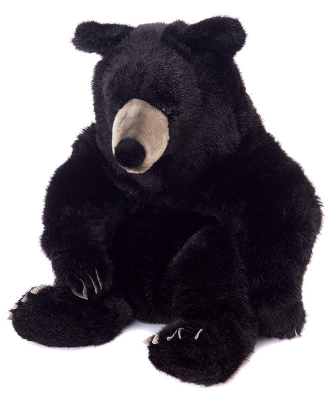 black bear teddy