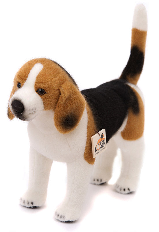 beagle teddy